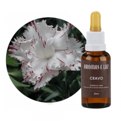 Essência de Cravo 30ml