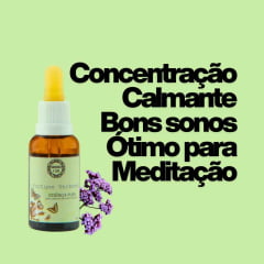 Essência de Fortune Verbena 30ml