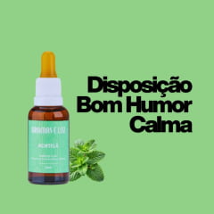 Essência de Hortelã 30ml Essência de Hortelã 30ml