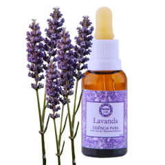 Essência de Lavanda 30ml