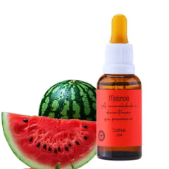 Essência de Melancia 30ml Essência de Melancia 30ml